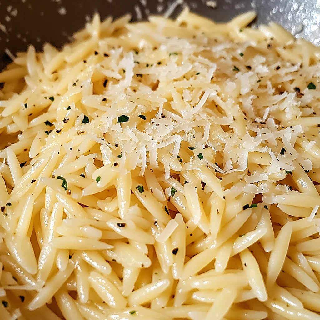 Garlic Parmesan Orzo Pasta Recipe