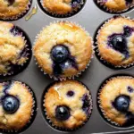 Homemade Blueberry Protein Muffins - Alrightwithme