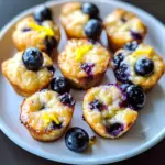 Blueberry and Lemon Zest Cottage Cheese Bites